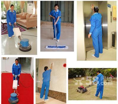 曲阳路专业保洁服务 家庭保洁、开荒保洁与公务楼保洁一站式解决方案
